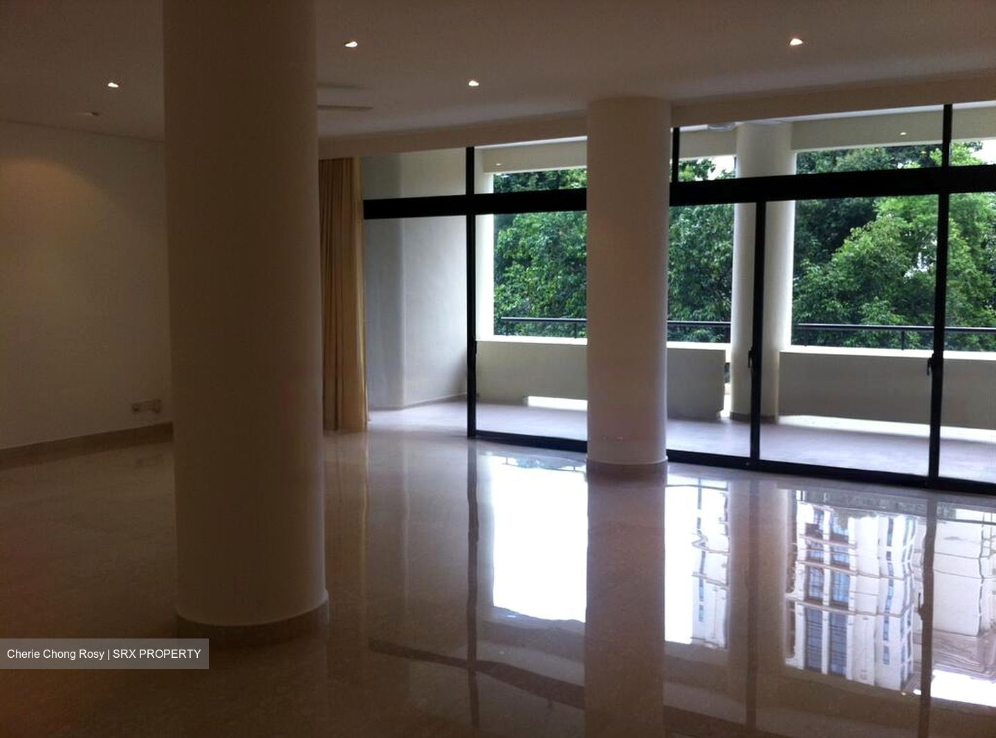 The Colonnade (D10), Condominium #471422451